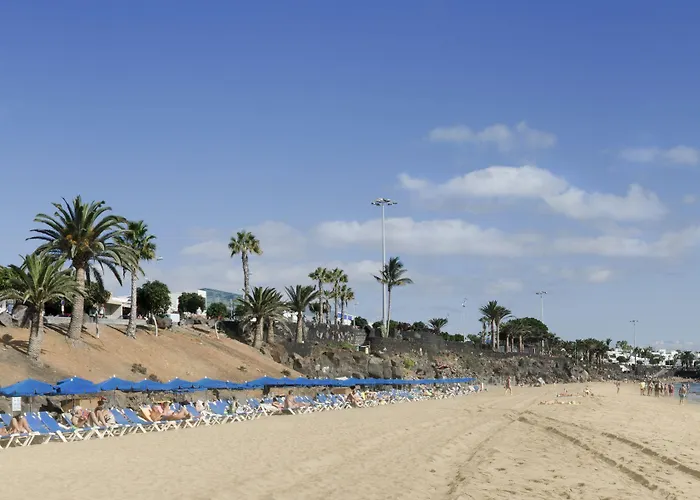 Ereza Hibiscos - Adults Only פוארטו דל כרמן