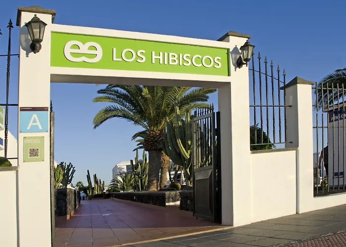 Ereza Hibiscos - Adults Only